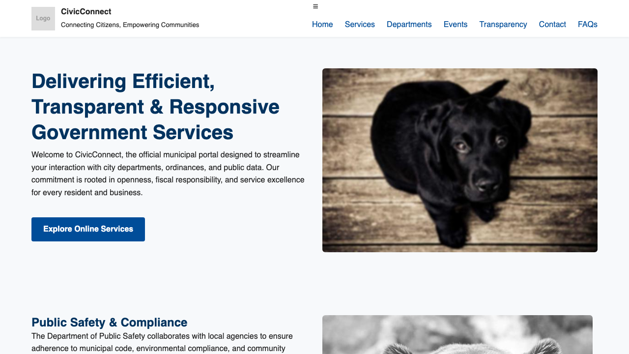 View Government page