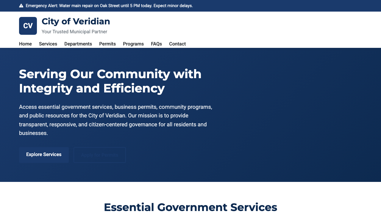 View Government page